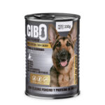 CIBO ENERGY