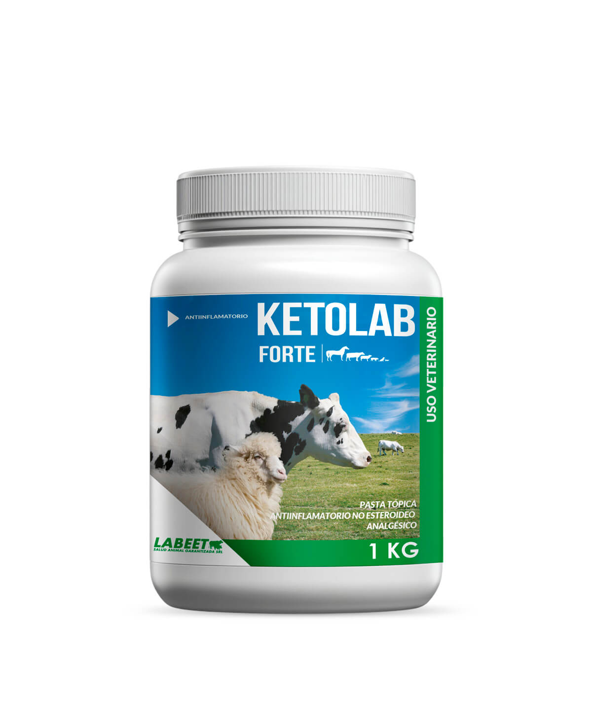 ketolab-forte-labeet KETOLAB FORTE - Imagen 1