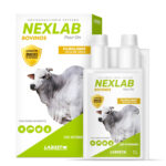 NEXLAB POUR ON